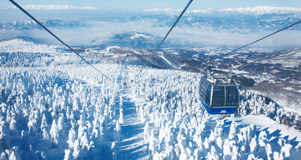 「2026年に行くべき世界の旅行先25選」に選出